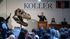 Aukční domy: Koller Auctions - foto 1 | brand photo