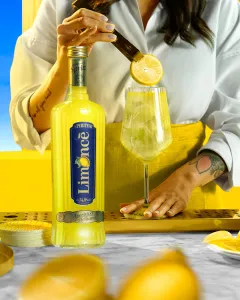 zdroj: Stock Plzeň-Božkov