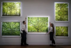 Zdroj: Facebook Sotheby's