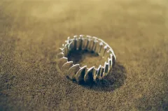 Foto: Georg Jensen