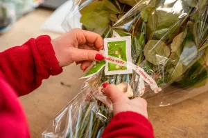 Florea představuje floreář – kalendář, který připomene a doručí květiny kamkoliv po ČR - foto 1 | brand photo
