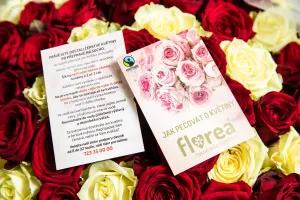 Nezapomenutelný Valentýn s Florea: exkluzivní kytice, kterou doručí kurýr - foto 1 | brand photo