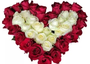 Vyjádřete svoji lásku na Valentýna s překrásnými kyticemi Florea - foto 1 | brand photo