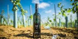 Ochutnejte esenci Moravy s víny od Vinařství Jakubík  - foto 1 | brand photo