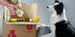 Čtyři luxusní produkty od firmy Spokojený pes pro Vašeho domácího miláčka - foto 1 | brand photo