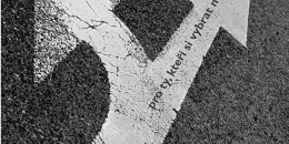 RAČTE (si) VYBRAT | brand photo