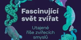 Fascinující svět zvířat | brand photo