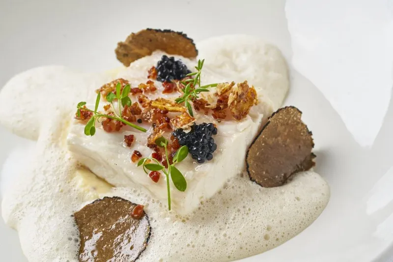 Halibut
