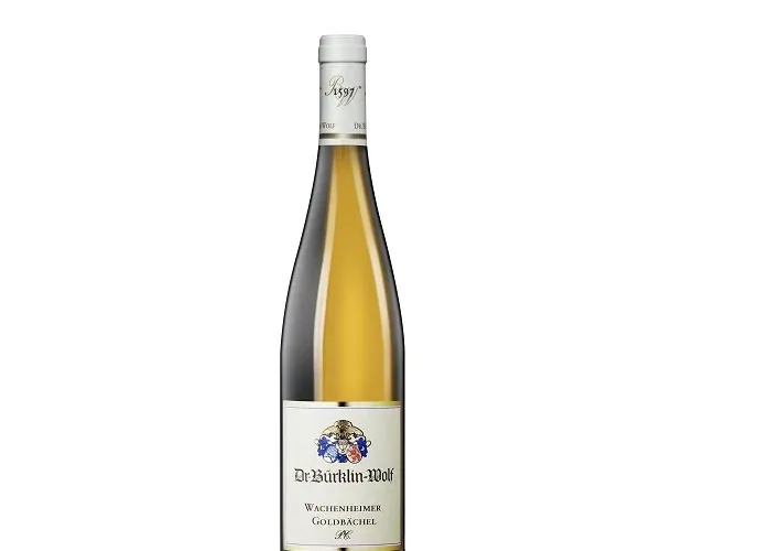 Užijte si babí léto s Rieslingy Dr. Bürklin-Wolf - foto 4 | brand photo