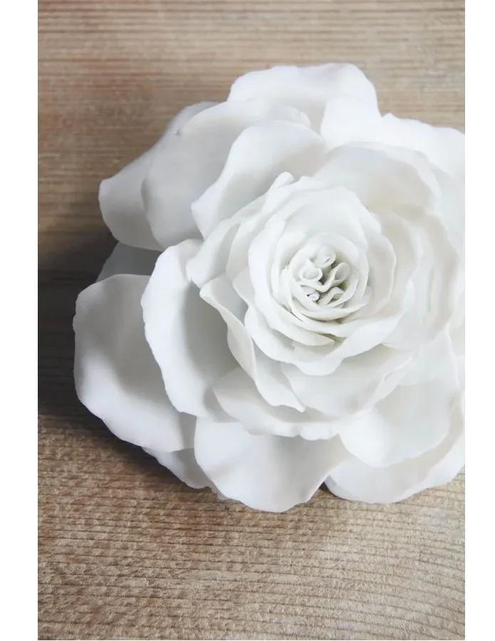 Zdobí interiéry vozů i nádvoří v Goodwoodu – růže Phantom Rose byla vyvíjena 8 let - foto 2 | brand photo