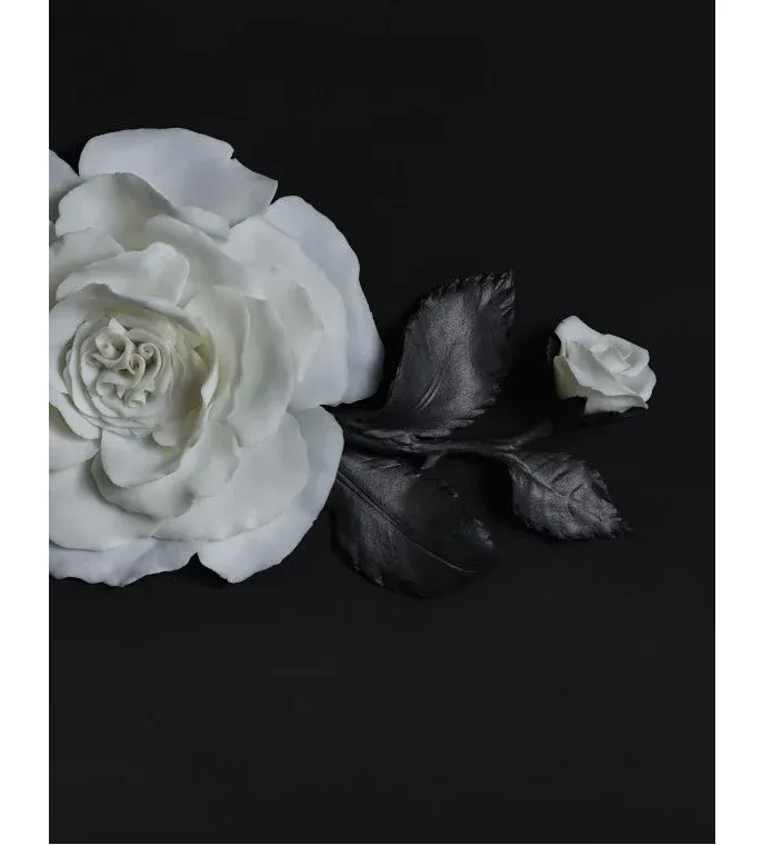 Zdobí interiéry vozů i nádvoří v Goodwoodu – růže Phantom Rose byla vyvíjena 8 let - foto 3 | brand photo