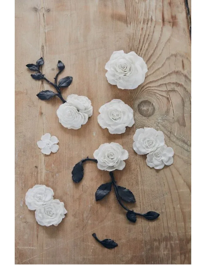 Zdobí interiéry vozů i nádvoří v Goodwoodu – růže Phantom Rose byla vyvíjena 8 let - foto 4 | brand photo