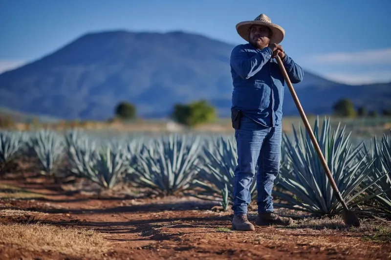 Moët Hennessy uvedla na trh novinku, tequilu Volcan De Mi Tierra Blanco - foto 2 | brand photo