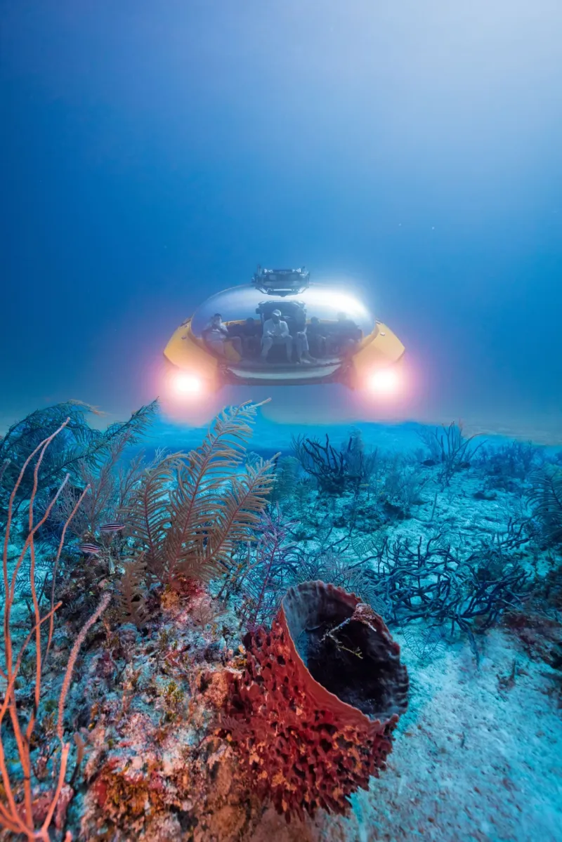 Privátní ponorka Scenic Neptune II: Nový rozměr objevování podmořského světa - foto 2 | brand photo