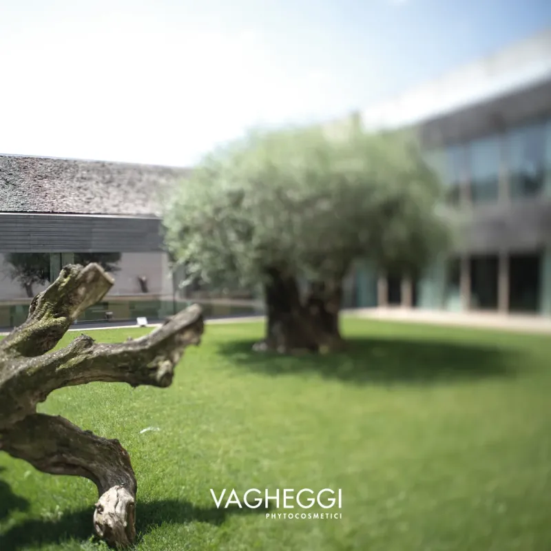 VAGHEGGI Phytocosmetici: přední profesionální kosmetická značka z Itálie - foto 2 | brand photo