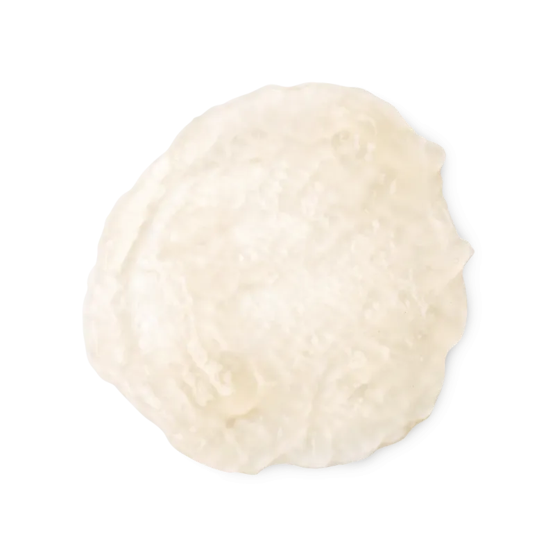 Veganuary 2025: začít nový rok jako vegan s produkty Lush - foto 5 | brand photo