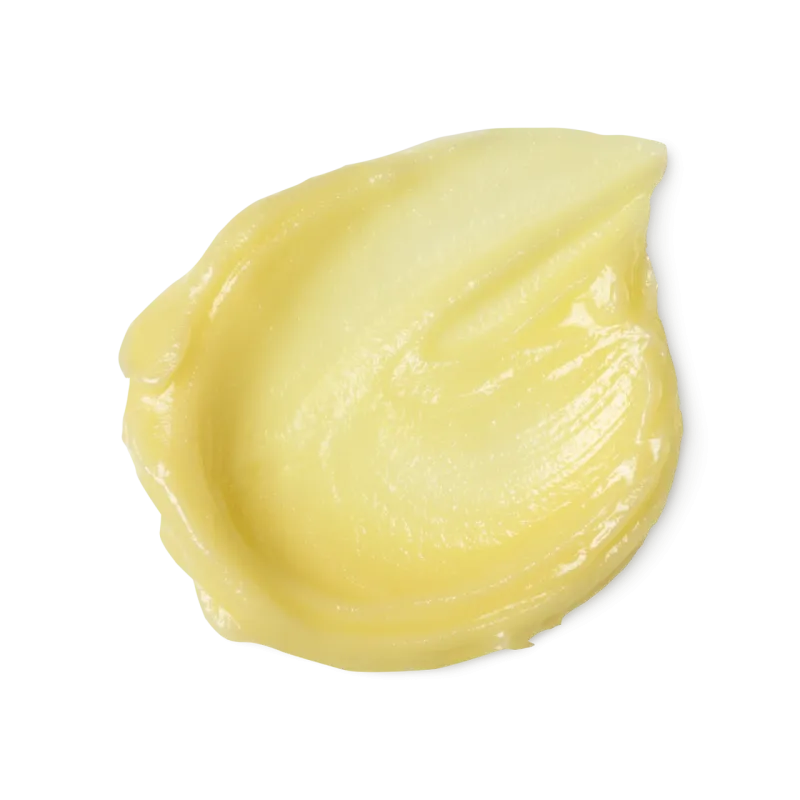 Veganuary 2025: začít nový rok jako vegan s produkty Lush - foto 2 | brand photo