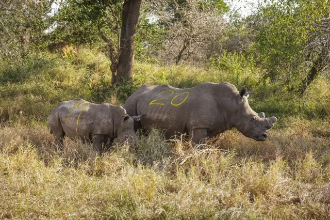 Credit: Howard Cleland – andBeyond Travel