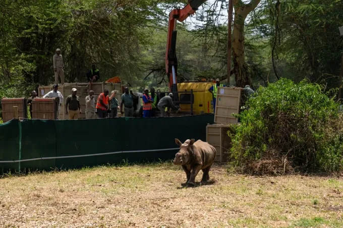 Credit: Jamie Lucas – Zuka