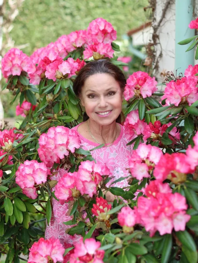 Foto: Václav Hudeček