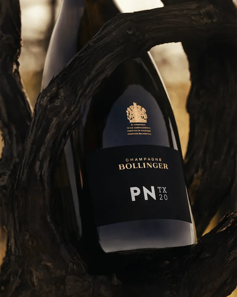 Oslava jedinečnosti: Šampaňské Bollinger PN TX20