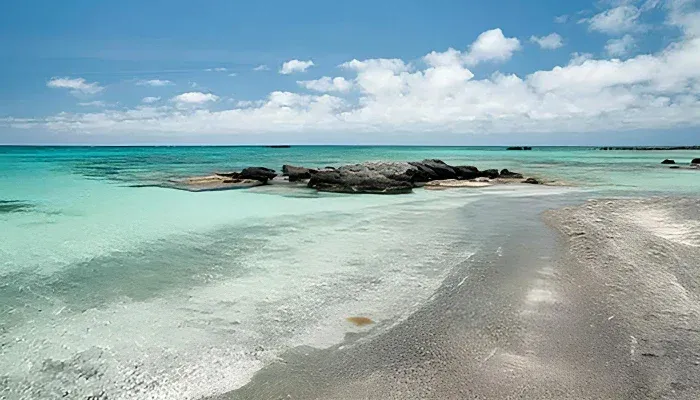 MDŽ: Místo květin darujte zážitek u moře od CK Blue Style - foto 5 | brand photo