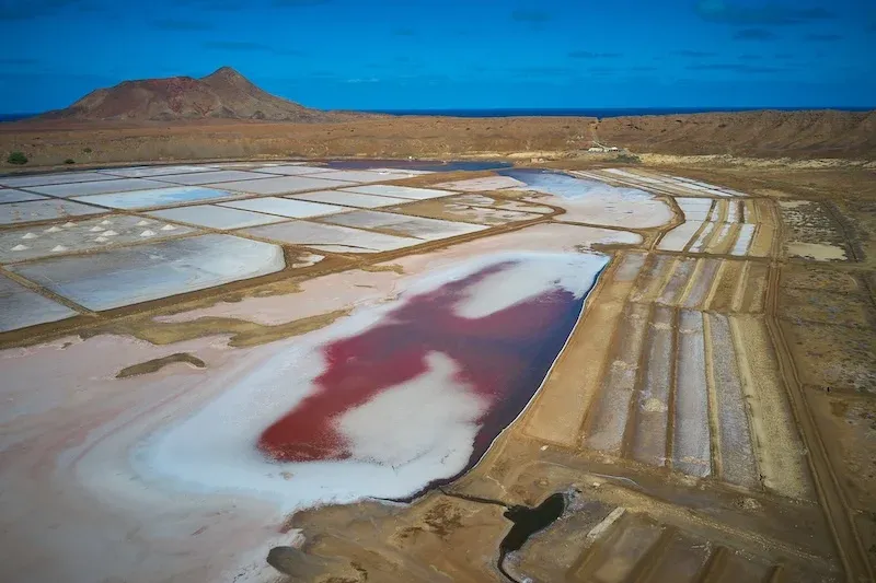 MDŽ: Místo květin darujte zážitek u moře od CK Blue Style - foto 8 | brand photo