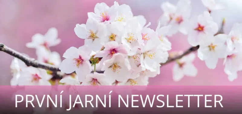 Newsletter březen | brand photo