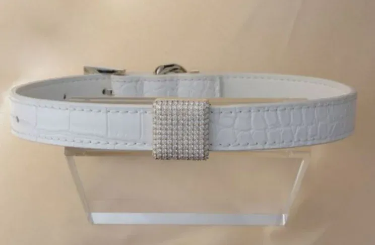 Ritani: diamantové šperky pro vaše domácí mazlíčky  - foto 4 | brand photo