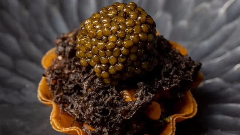 N25 Caviar: Ikonický kaviár pro náročné gurmány - foto 1 | brand photo