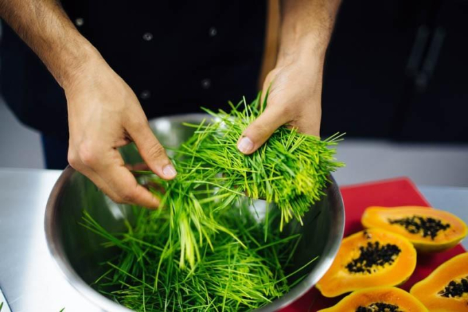 LUSH KITCHEN LUSH KITCHEN