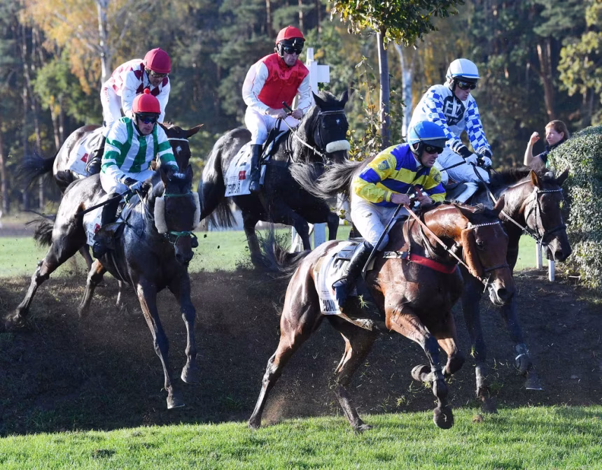 Velkou pardubickou ovládl Matuský s Hegnusem - foto 1 | brand photo