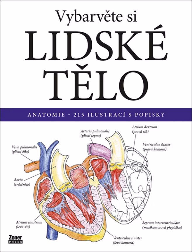 Vybarvěte si LIDSKÉ TĚLO | brand photo